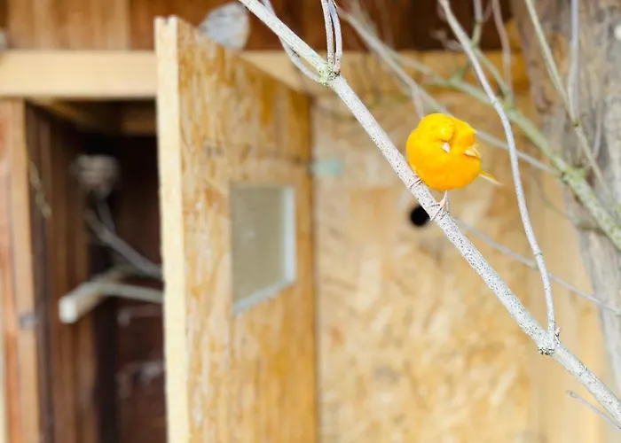 Appartement Peters *